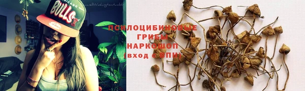 СК Арсеньев