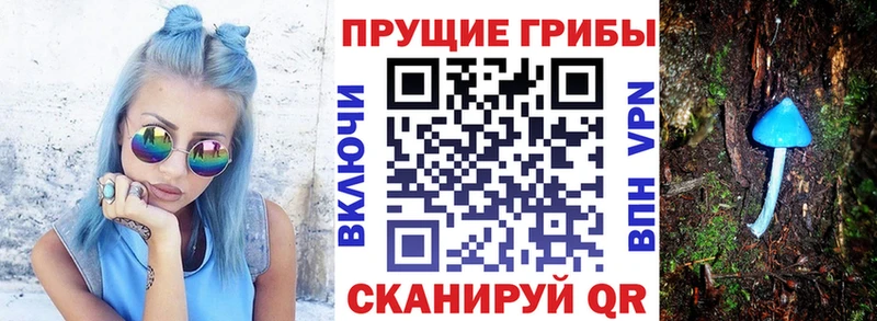 Псилоцибиновые грибы Magic Shrooms  магазин  наркотиков  hydra ТОР  Арск 